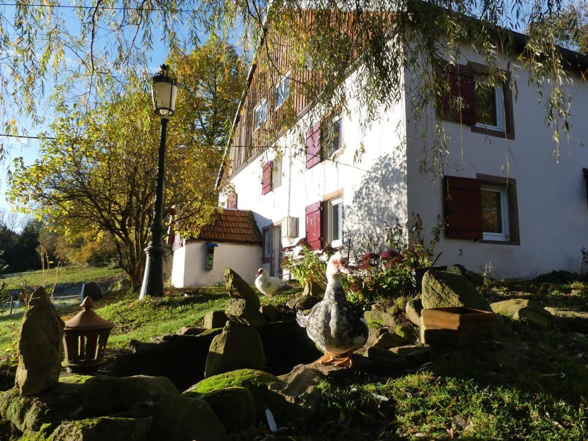 Bed and Breakfast La Grange Du Kerala Ban-sur-Meurthe-Clefcy Exterior foto